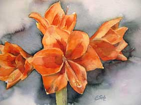 Aquarellbild Amaryllis