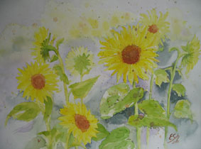 Aquarellbild Sonnenblumen