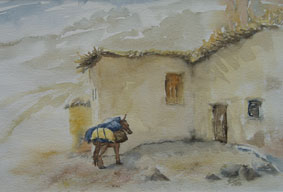 Aquarellbild Das Maultier
