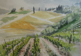 Aquarellbild Chianti Weinberg