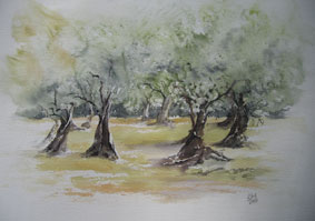 Aquarellbild Olivenhain