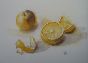 Aquarellbild Orangen